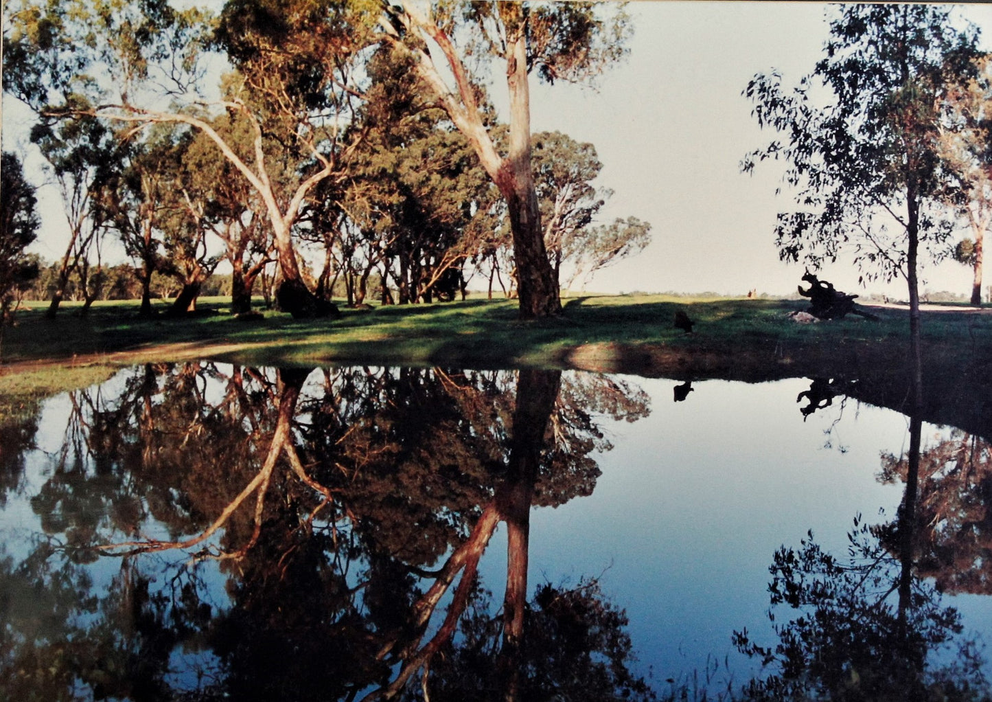 108 BILLABONG REFLECTION PHOTO PRINT