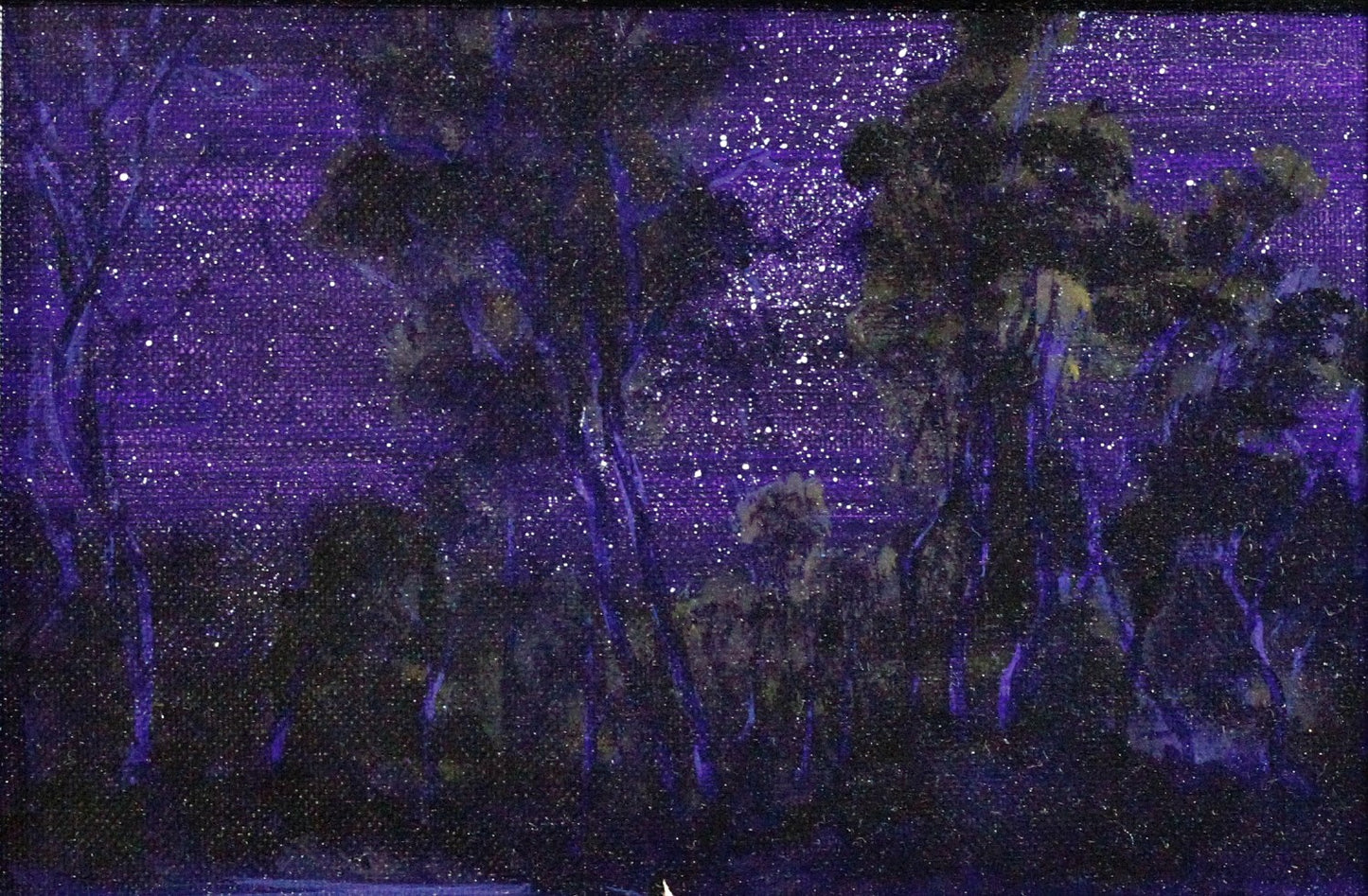 123 EARTHFEST PURPLE NIGHT