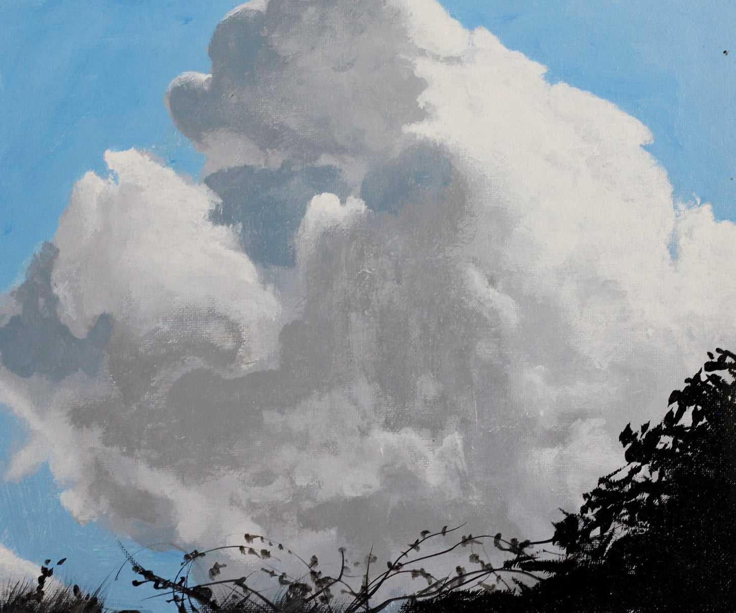124 STORM CLOUDS