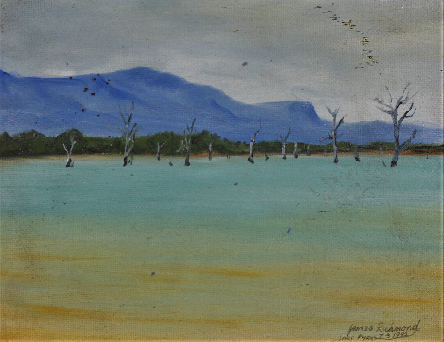 131 LAKE FYANS