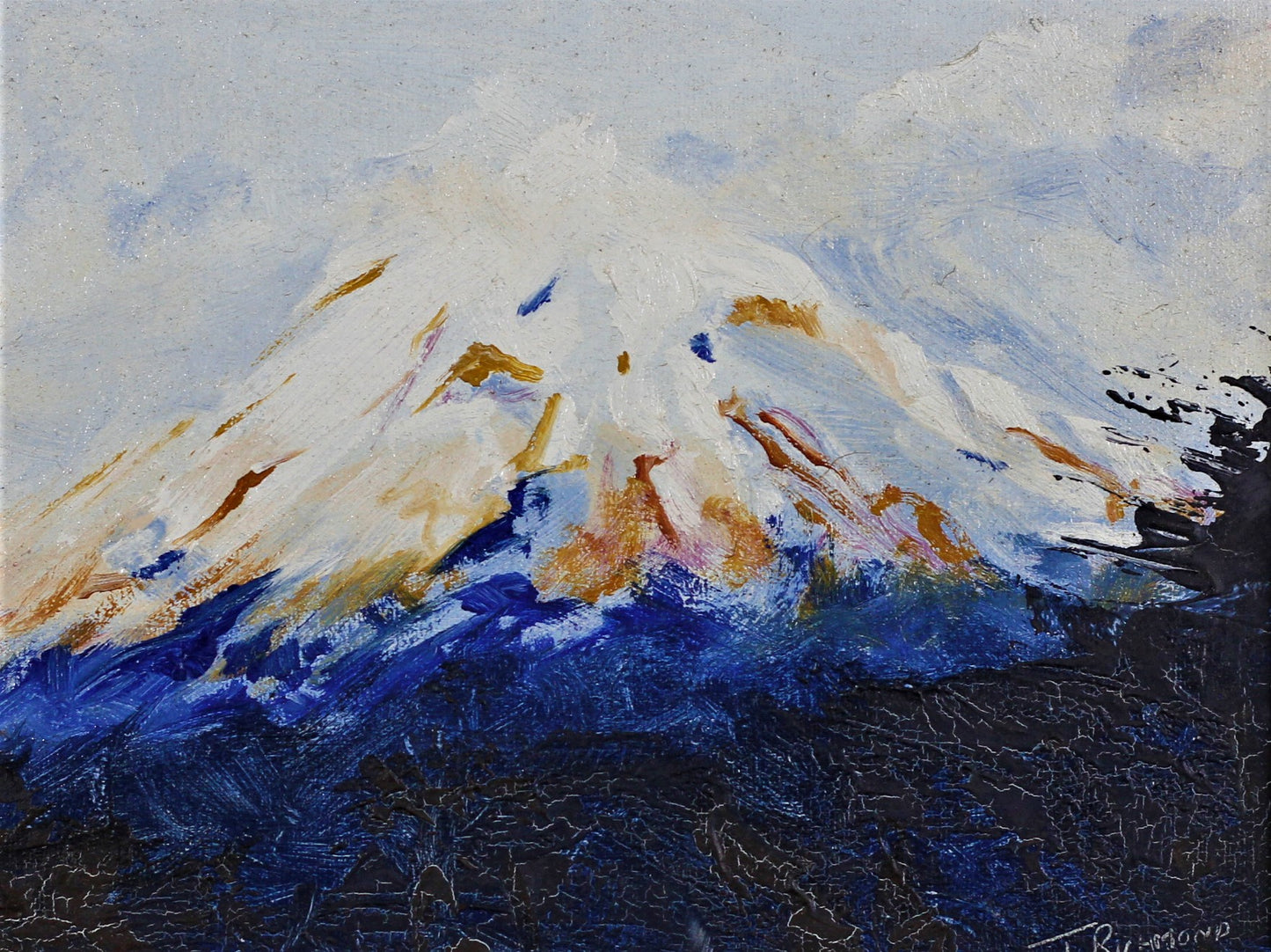 132 MOUNT EGMONT NZ