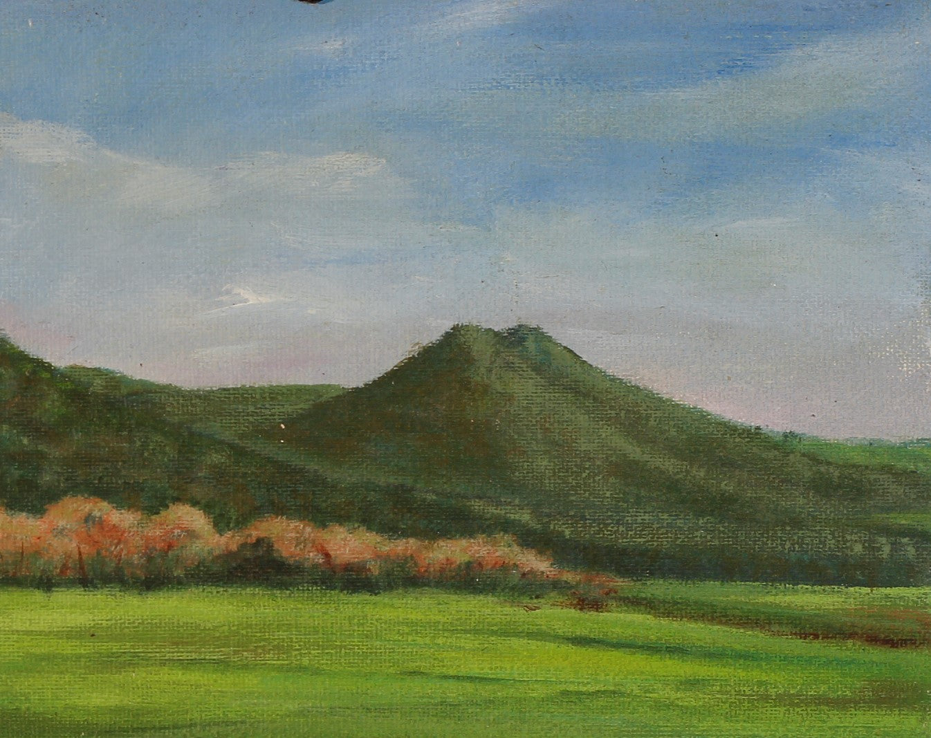 187 TARRA VALLEY TASSY