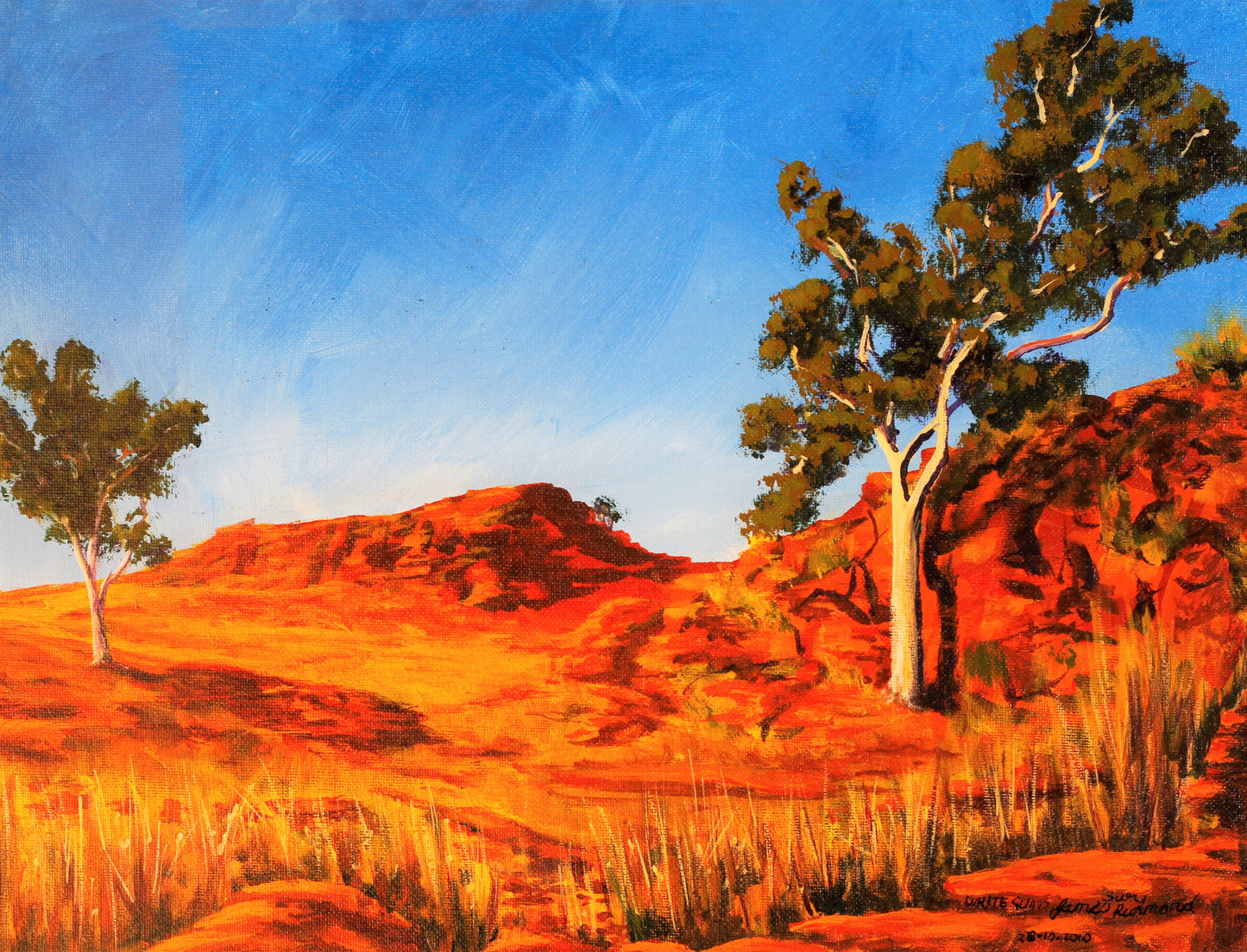 198 WHITE GUMS OUTBACK