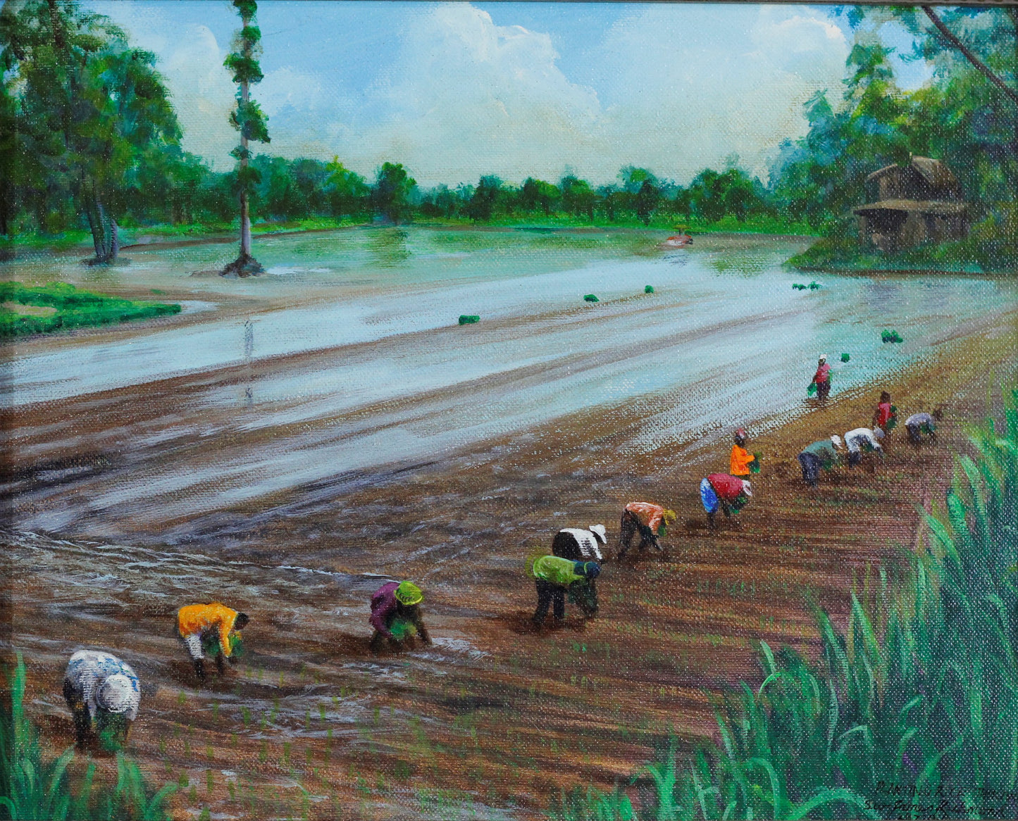 020 PLANTING RICE THAILAND