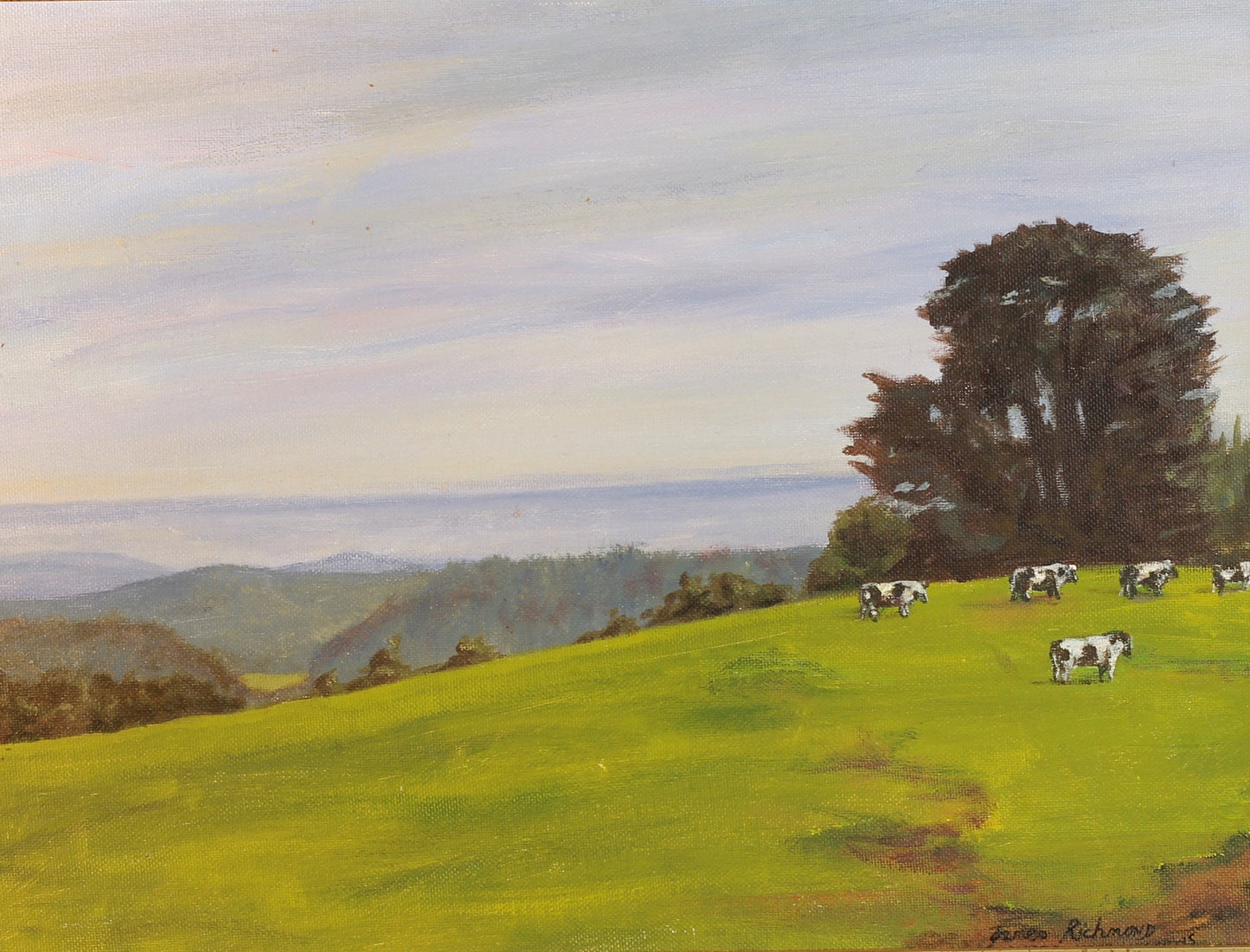 218 BEECH FOREST COWS