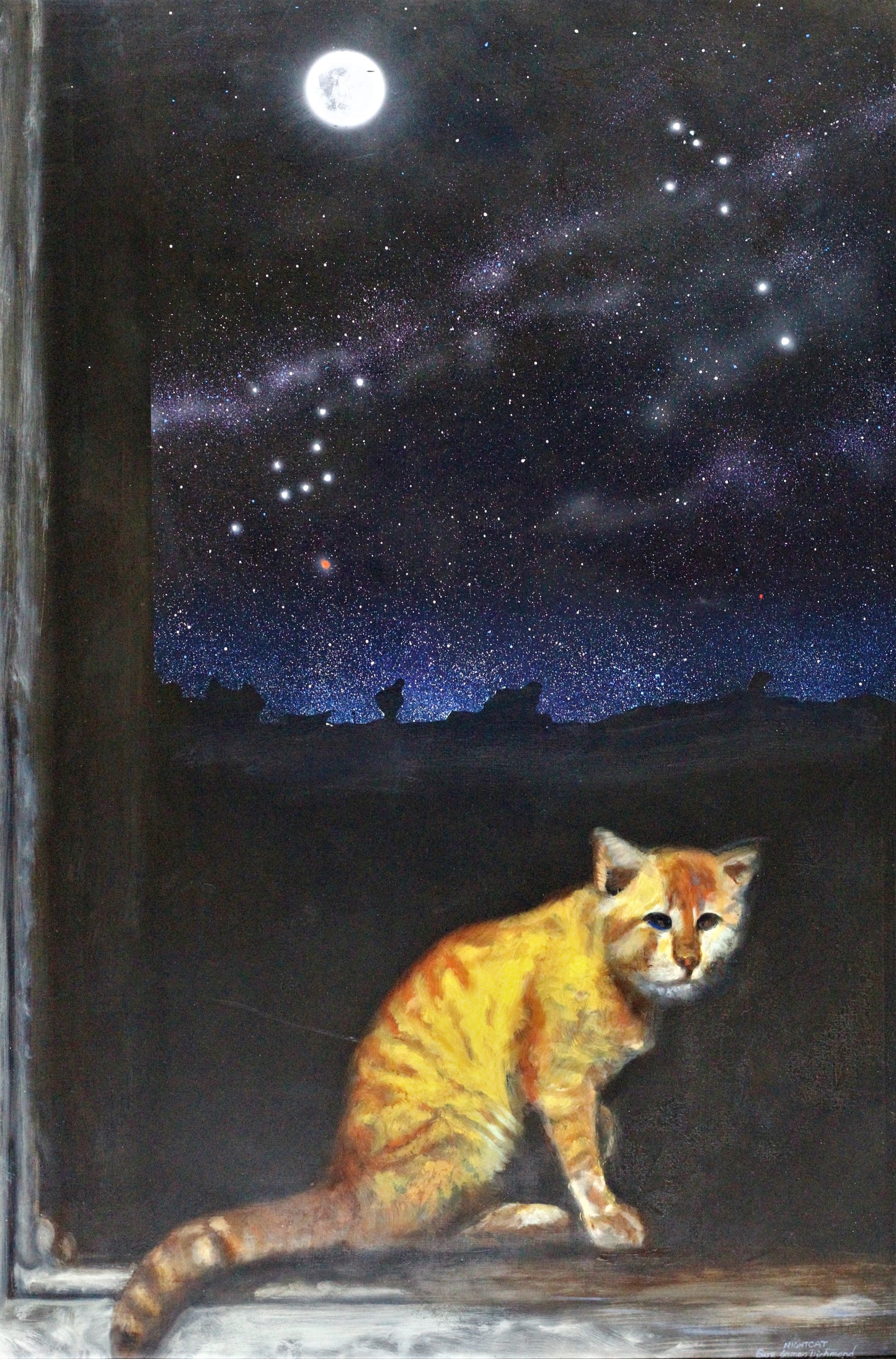 024 NIGHT CAT