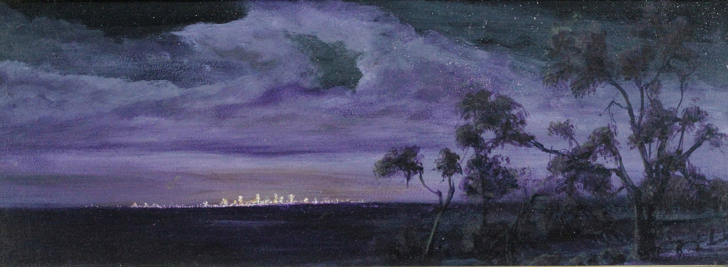 029 PURPLE NIGHTSCAPE