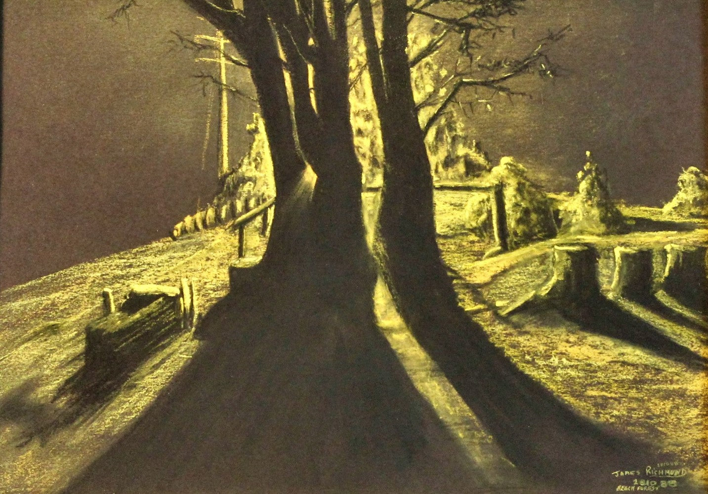 001 BEECH FOREST NIGHT FOG