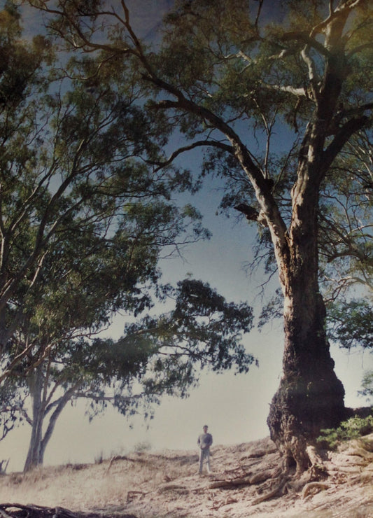 109 SWAGMAN REFLECTION PHOTO