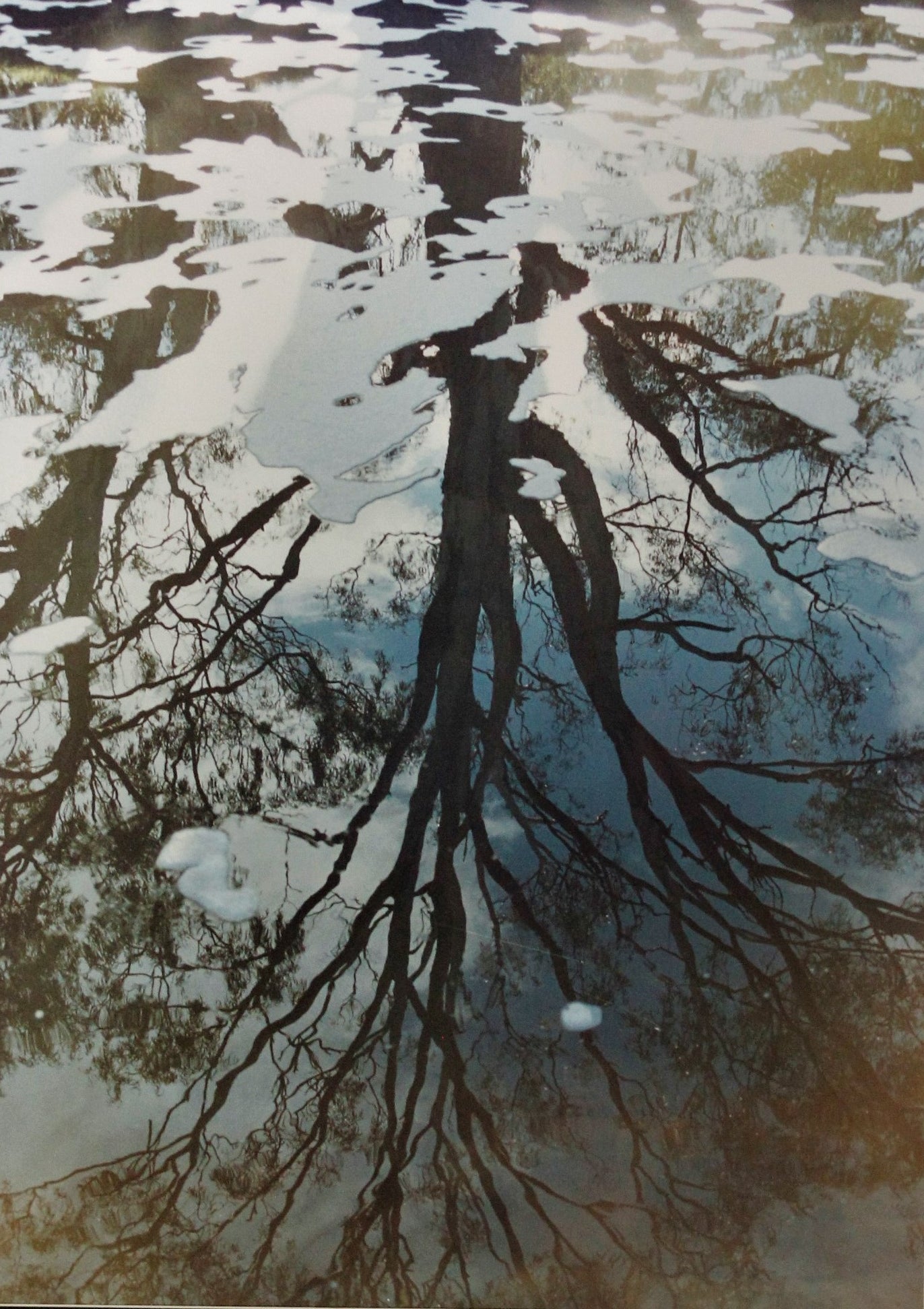 111   SUDS REFLECTION
