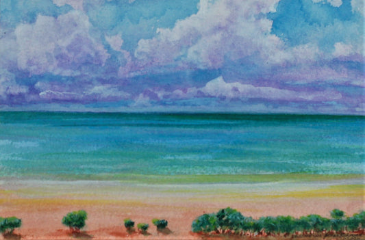 143  MANGROVES BROOME