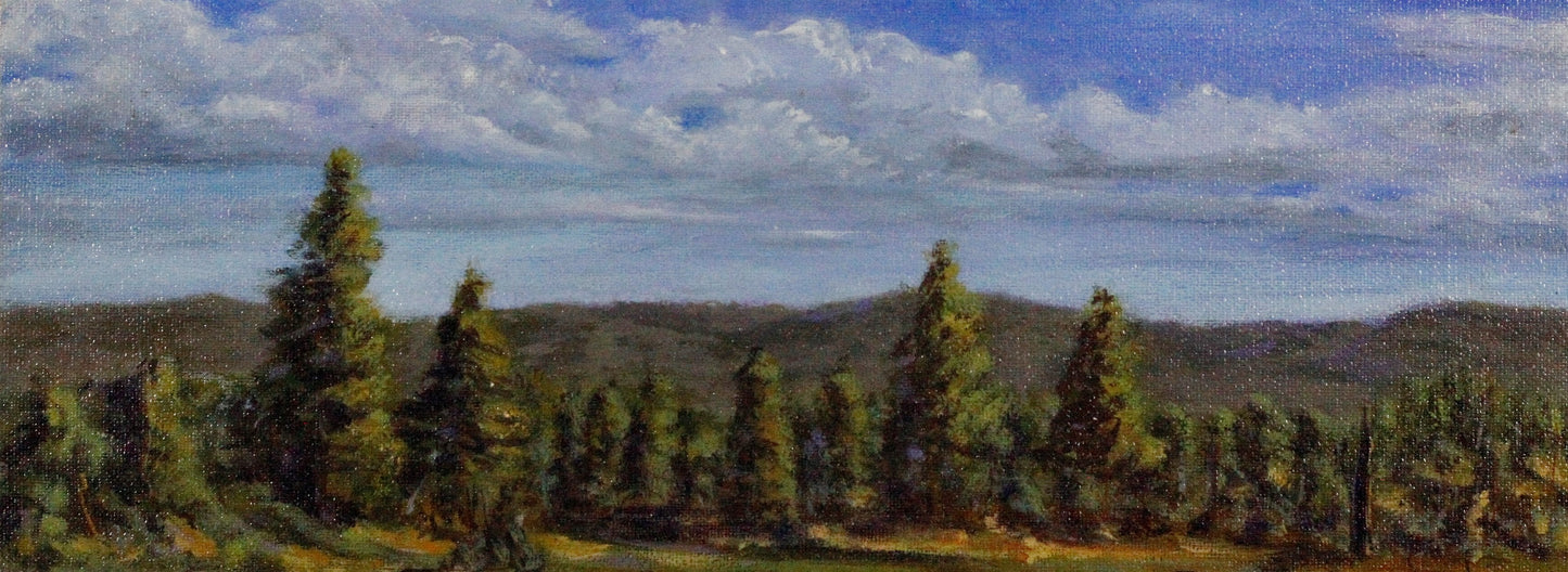 155   KOSIOSKO RANGES
