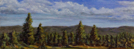 155   KOSIOSKO RANGES