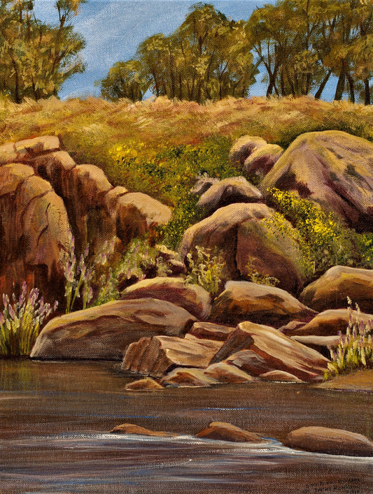 175   STREZLECKIE RANGES