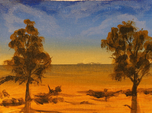 180    BROOME OUTBACK