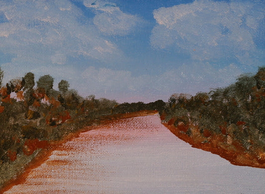 181  BROOME MANGROVES