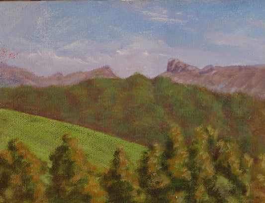 186  WARRATAH HILLS TASSY