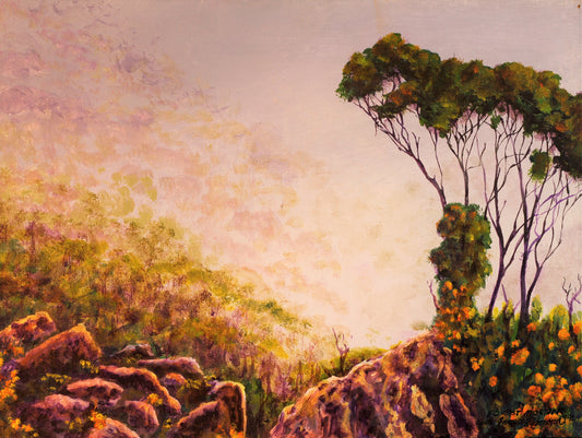 192  FOREST MORNING