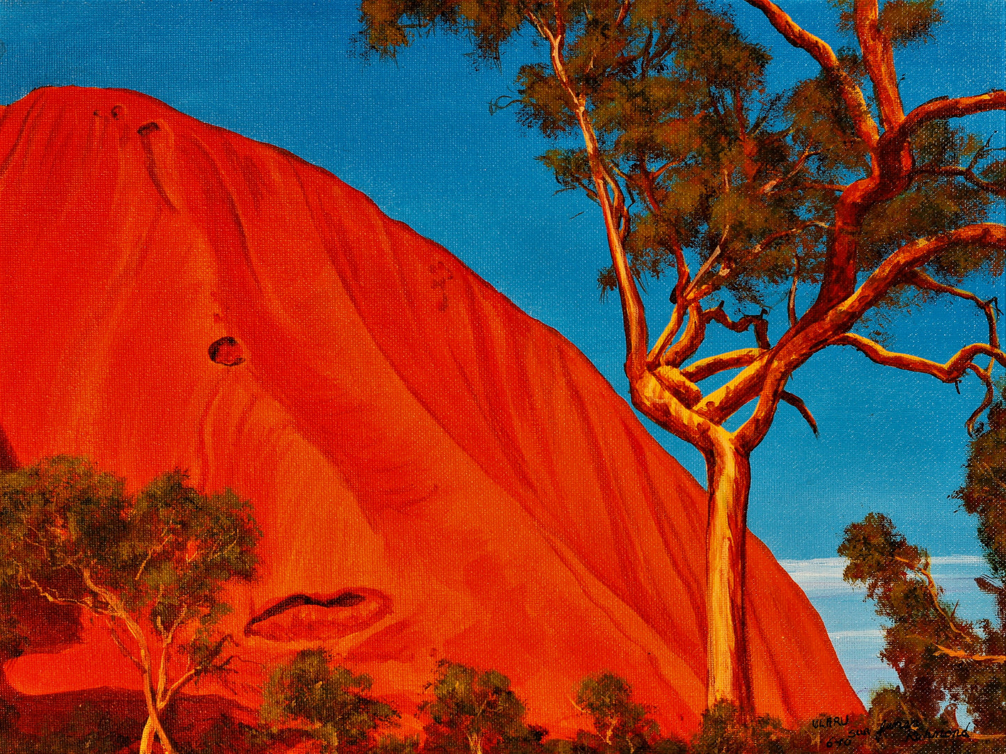 196  ULURU RED