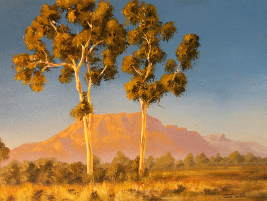200   OUTBACK GUMS S.A.
