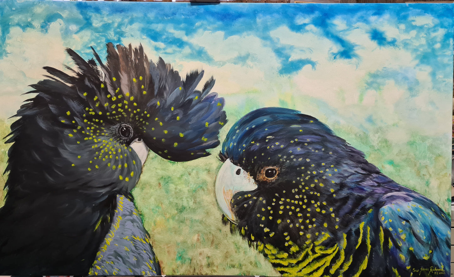 333  BLACK PARRORTS