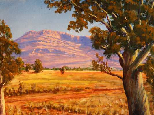209  EAST MACDONALD RANGES