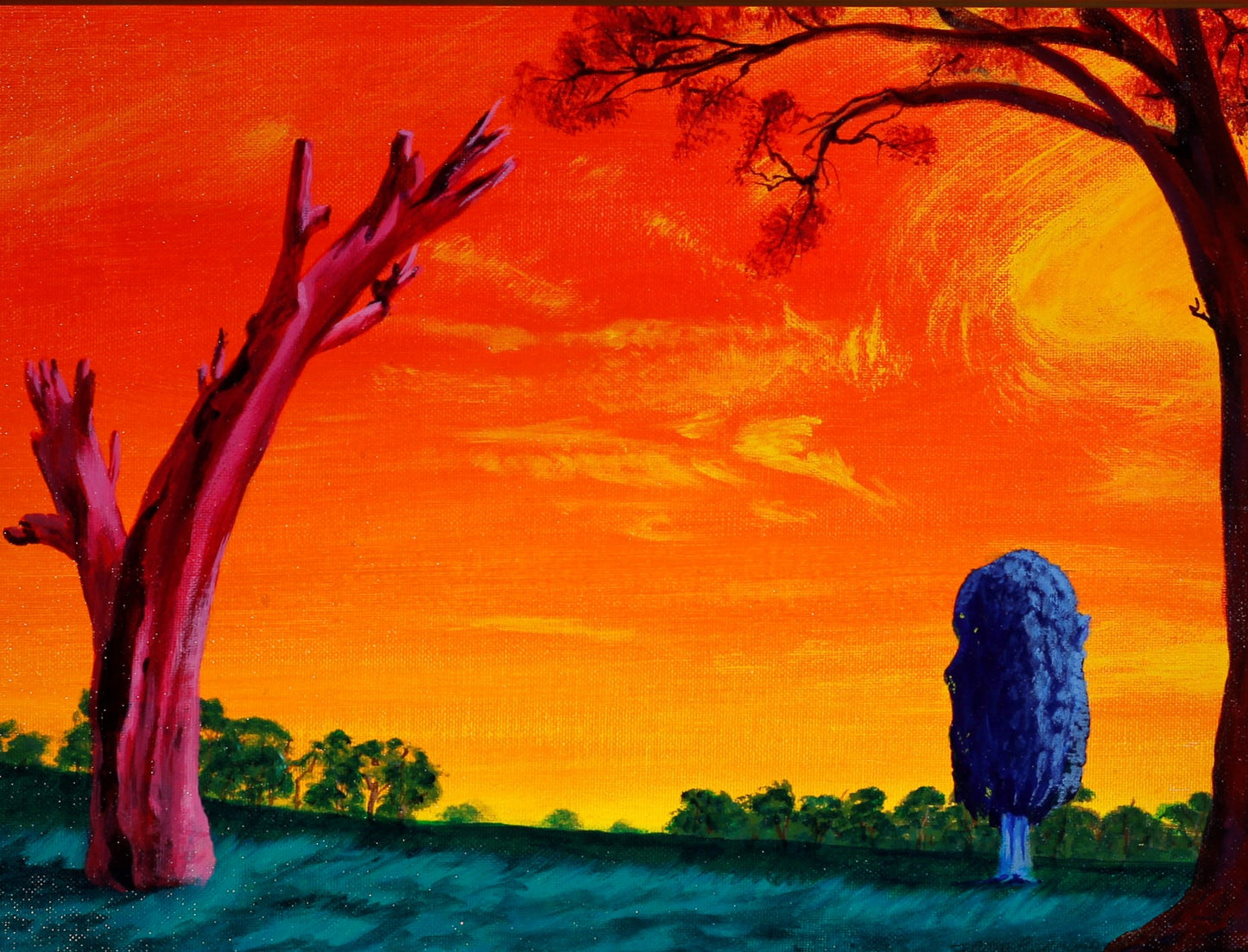 230  RAINBOW LANDSCAPE