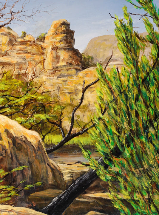 234  FIRE RECOVERY GRAMPIANS