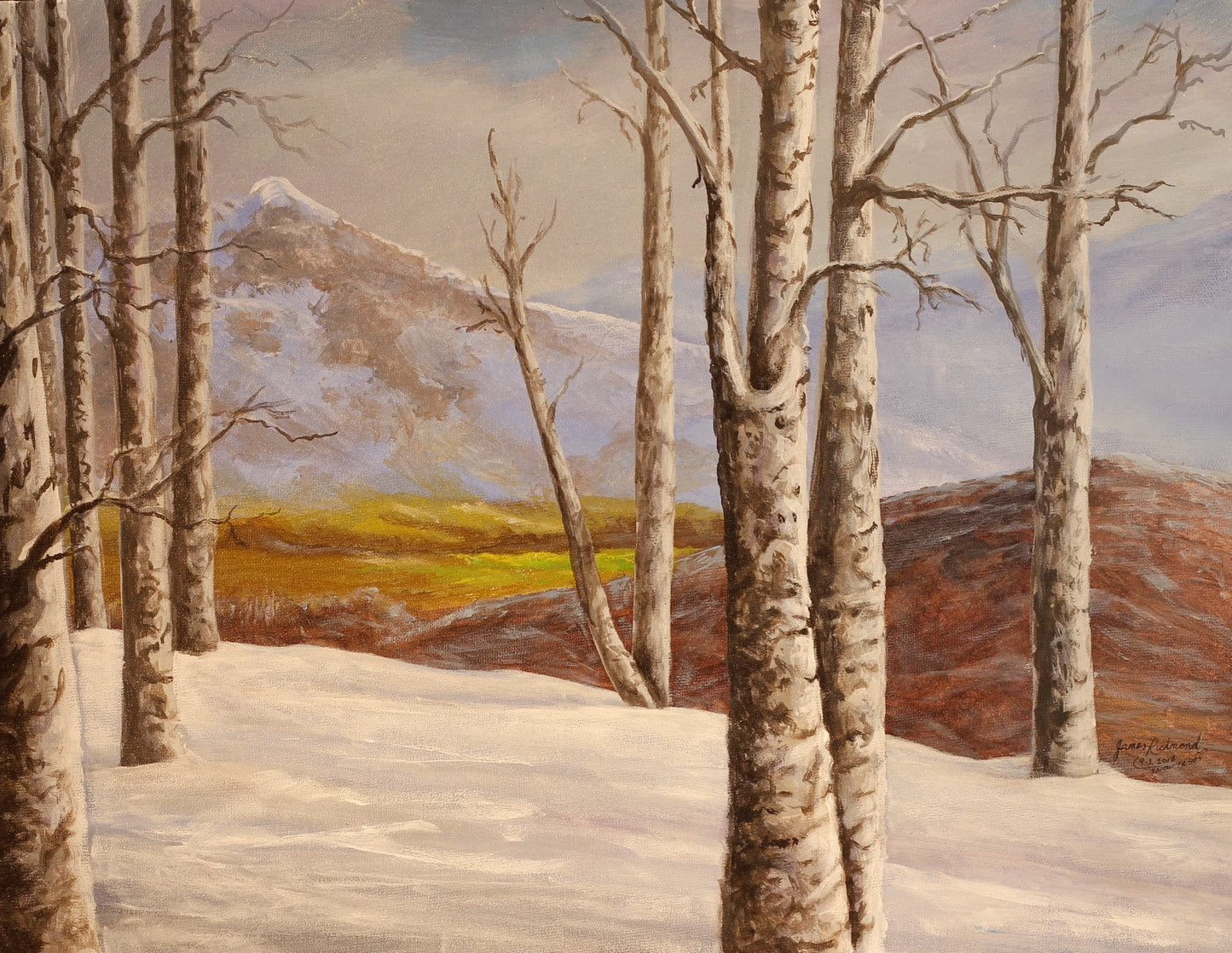 257  SNOW TREES