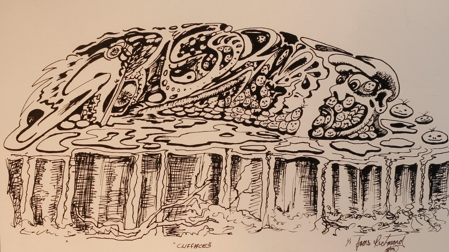 292  CLIFF FACES BIRO
