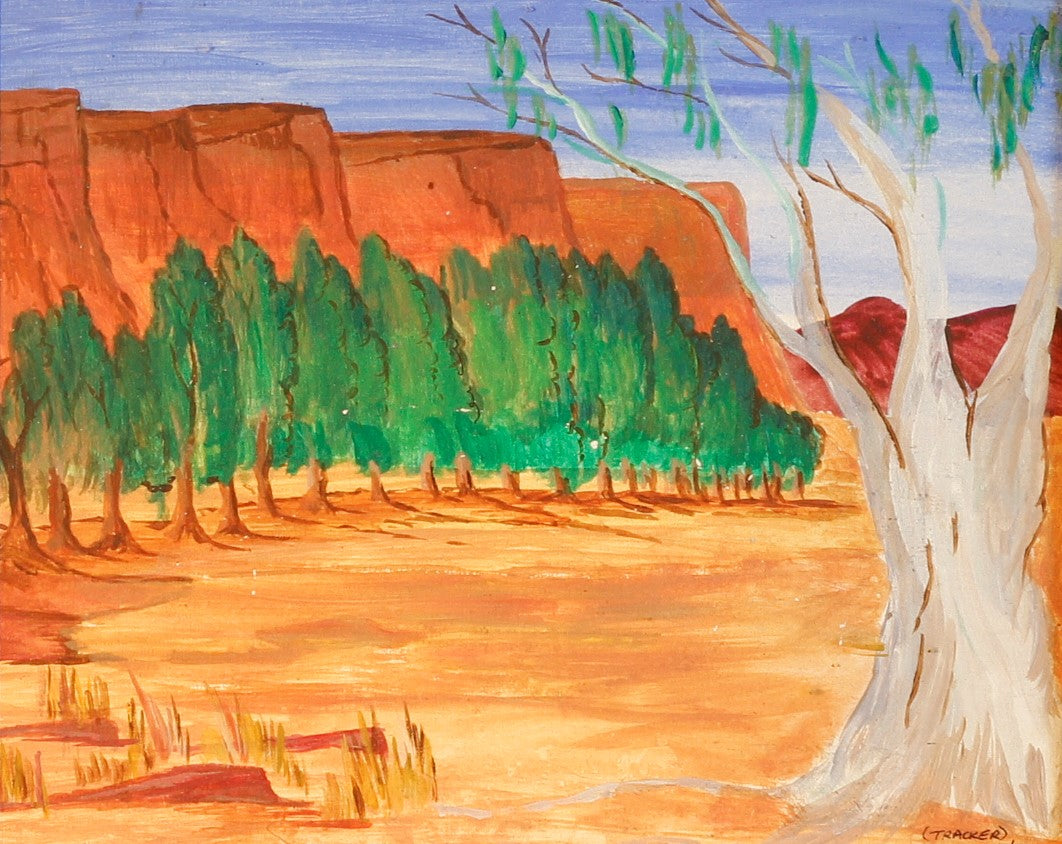 203 TODD RIVER ALICE