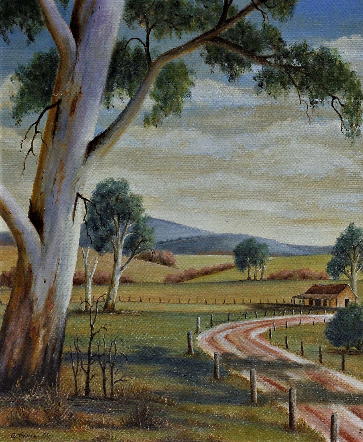 316  ECHUCA