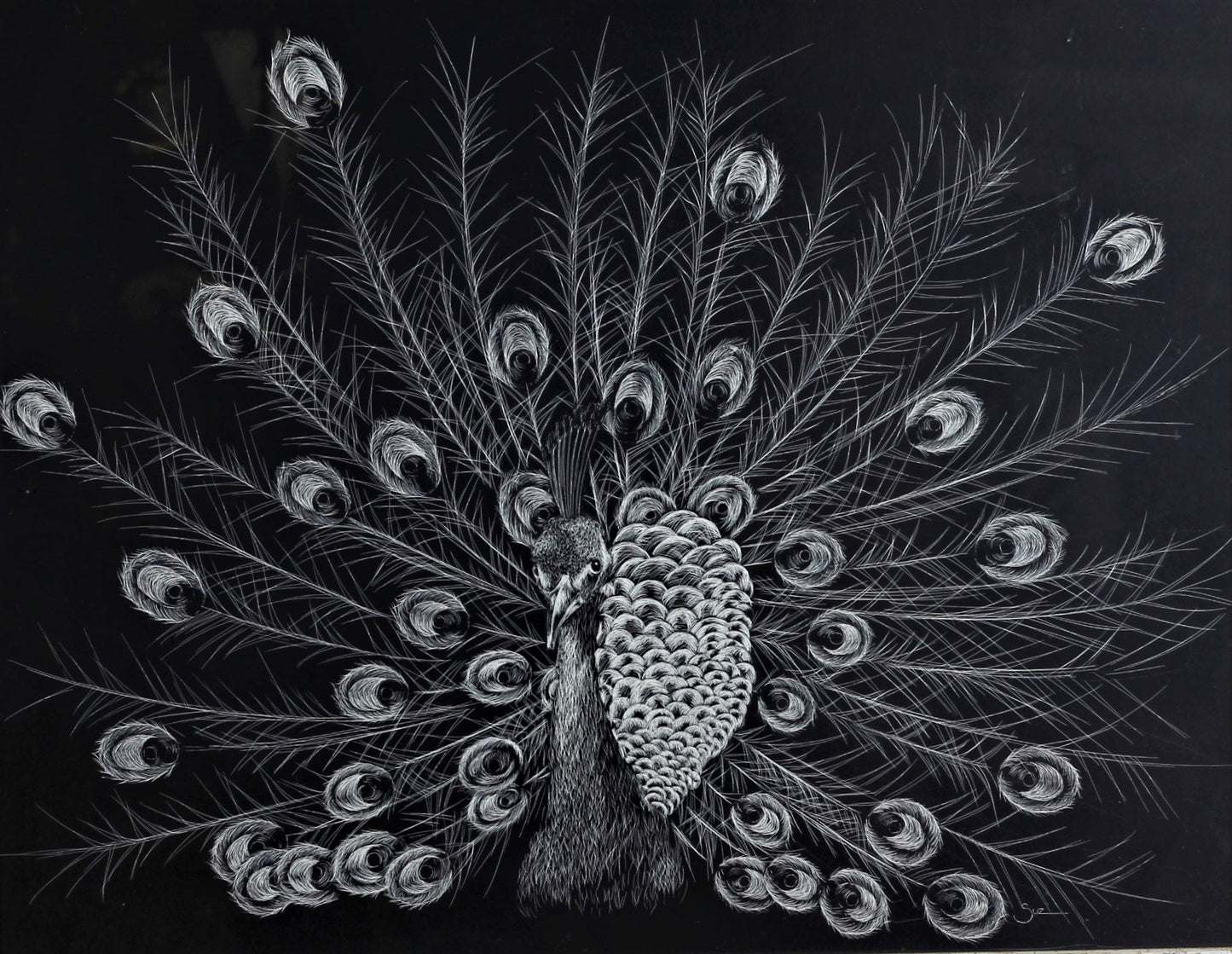 318 PEACOCK