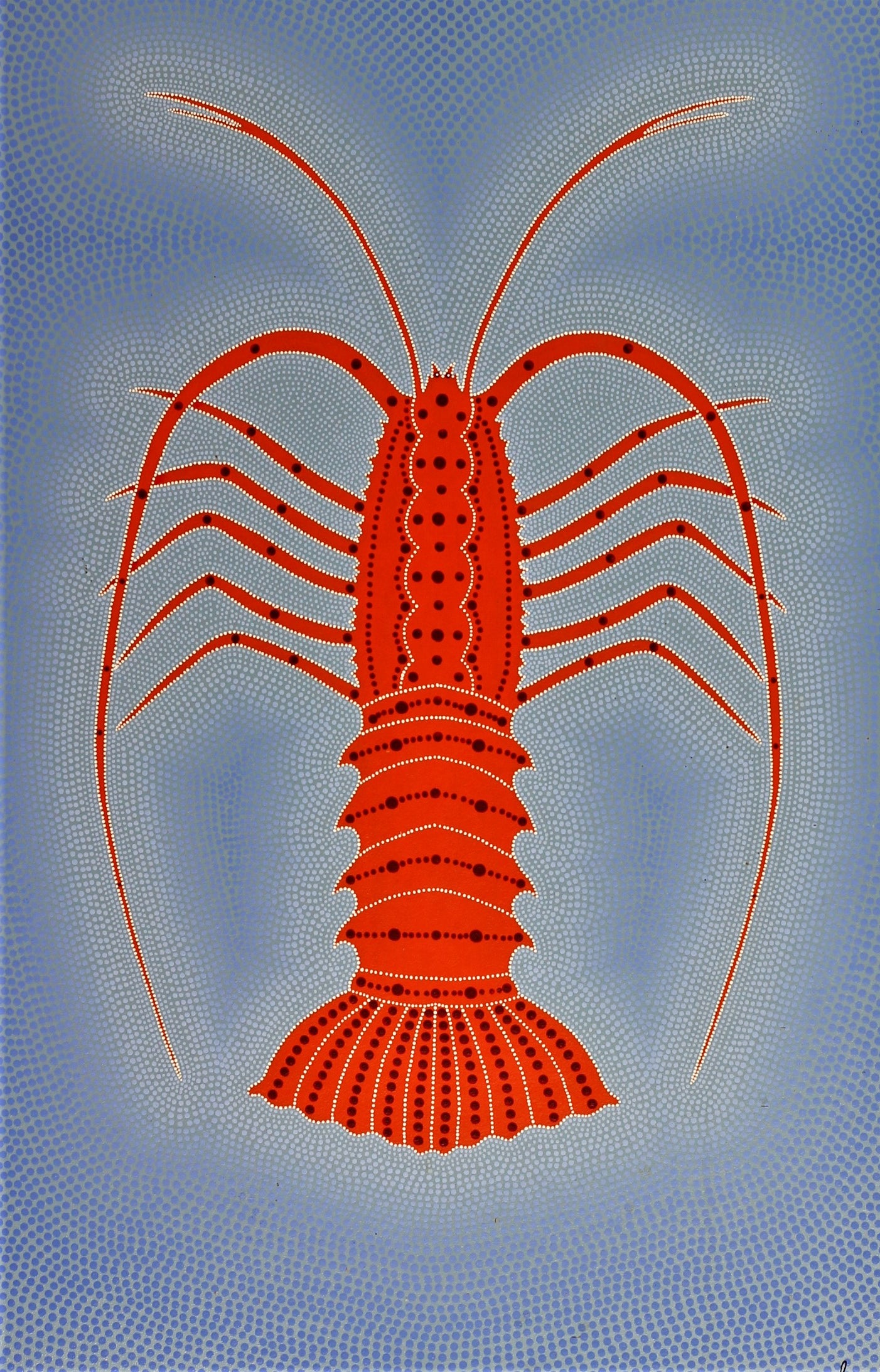 328  ROCK LOBSTER
