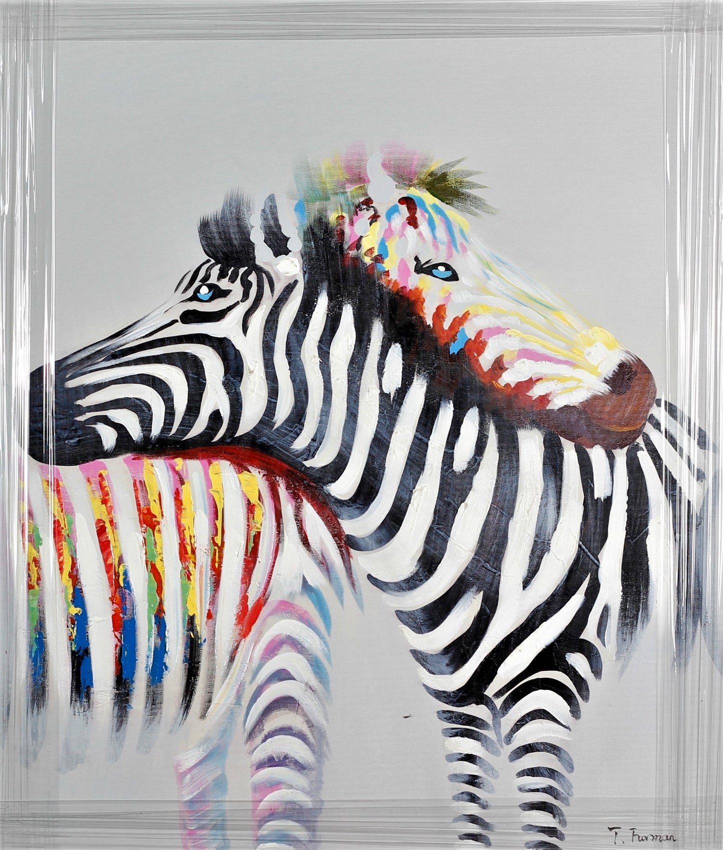 335  ZEBRAS