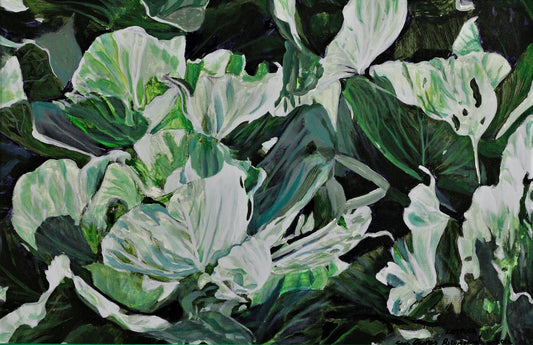 056 CABBAGES